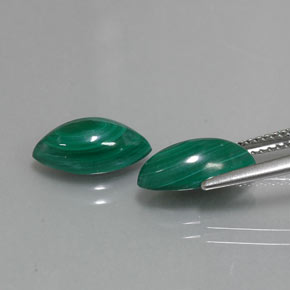 Gemas de malaquita verde natural de  ct, marquesa, opaco