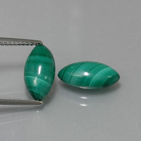 Gemas de malaquita verde natural de  ct, marquesa, opaco