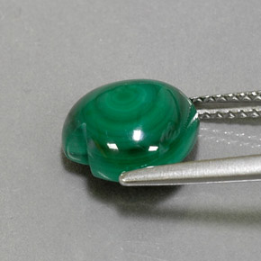 Malaquita verde natural de 5,04 ct, forma de corazón, opaco