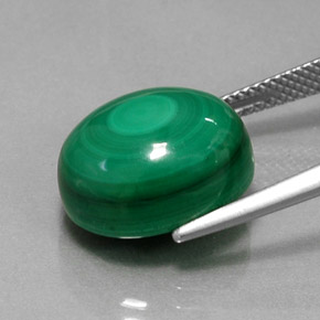 Malaquita verde natural de 15,46 ct, corte óvalo, opaco
