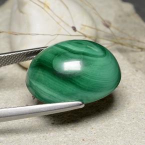 Malaquita verde natural de 32,84 ct, corte óvalo, opaco
