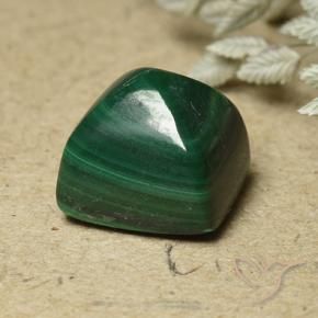 Malaquita Verde pino natural de 6.82 ct, Cuadrado, Opaco