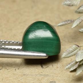 Malaquita verde natural de 6,32 ct, corte cojín, opaco