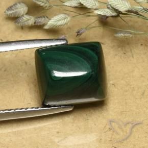 Malaquita Verde pino natural de 9.74 ct, Corte Baguette, Opaco