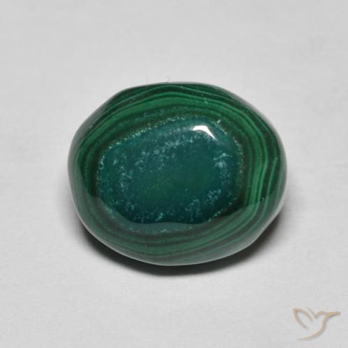 6.69ct Natural Verde pino Malaquita, Ovalada, Opaco