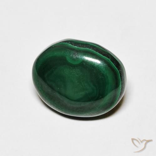 Malaquita Verde pino natural de 6.18 ct, Ovalada, Opaco