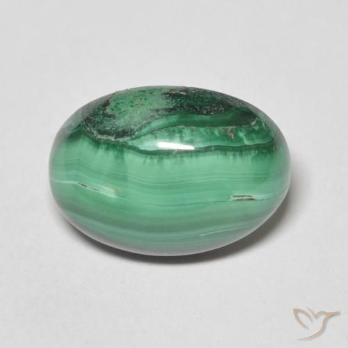 7.31ct Natural Verde medio Malaquita, Ovalada, Opaco