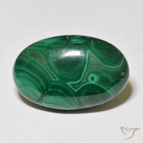 46.88ct Natural Verde oscuro Malaquita, Ovalada, Opaco
