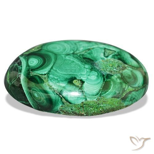Malaquita verde natural de 43,00 ct, corte óvalo, opaco