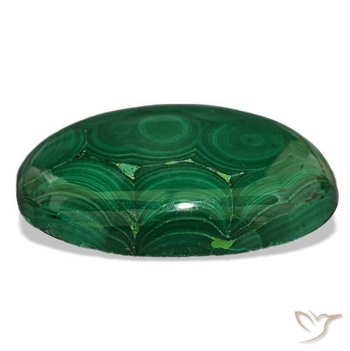 Malaquita verde natural de 40,20 ct, corte óvalo, opaco