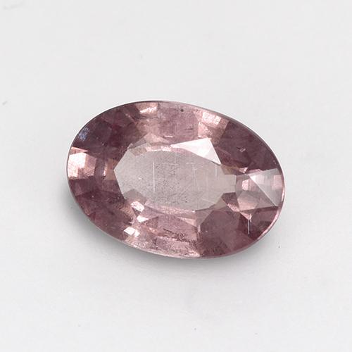 granate malayo Rosado palo de rosa intenso natural de 0.59 ct, Corte Óvalo, VS