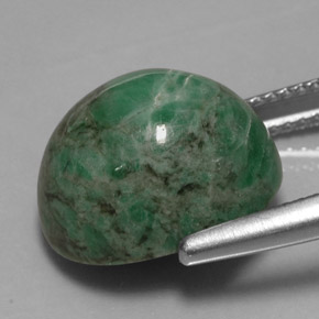 Maw-sit-sit verde natural de 11,79 ct, corte óvalo, opaco