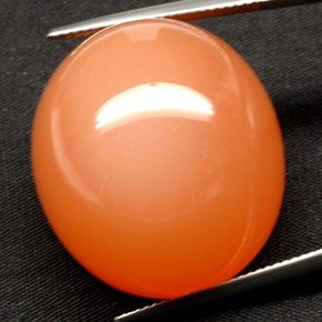 Piedra de luna naranja natural de 81,53 ct, transparente, transparente / translúcido