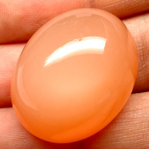 Piedra de luna naranja natural de 68,02 ct, transparente, transparente / translúcido