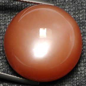 Piedra de luna naranja natural de 52,80 ct, corte redondo, opaco