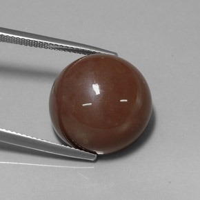 Piedra de luna marrón natural de 20,19 ct, corte redondo, opaco