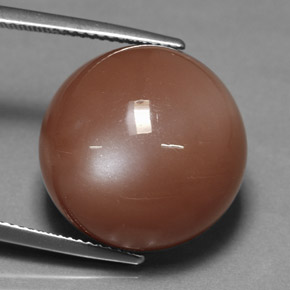 Piedra de luna naranja natural de 17,08 ct, corte redondo, opaco
