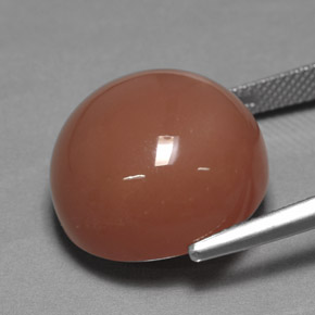 Piedra de luna naranja natural de 17,08 ct, corte redondo, opaco