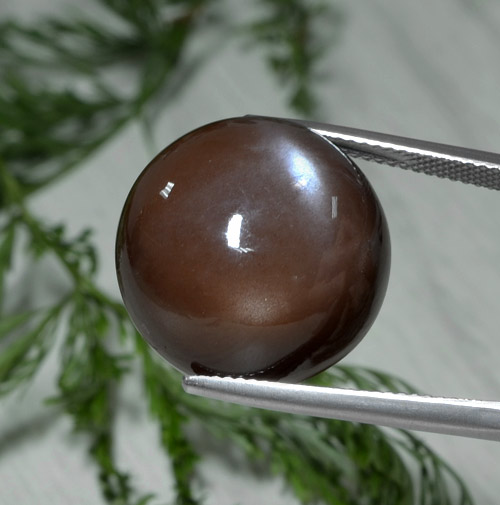 Piedra de luna marrón natural de 26,22 ct, corte redondo, opaco