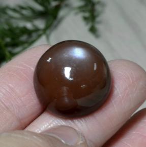Piedra de luna marrón natural de 26,22 ct, corte redondo, opaco