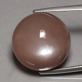 Piedra de luna marrón natural de 24,70 ct, corte redondo, opaco
