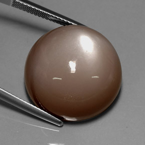Piedra de luna marrón natural de 33,72 ct, corte redondo, opaco