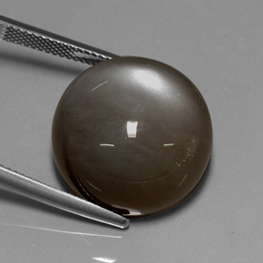 Piedra de luna marrón natural de 29,60 ct, corte redondo, translúcido