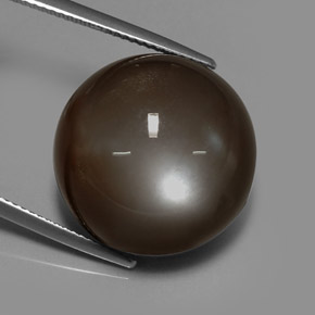 Piedra de luna marrón natural de 30,64 ct, corte redondo, translúcido