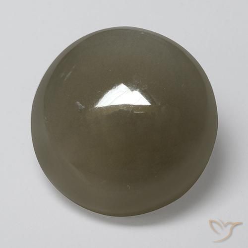 16.89ct Natural Marrón gris Piedra de Luna, Redondo, Translúcido