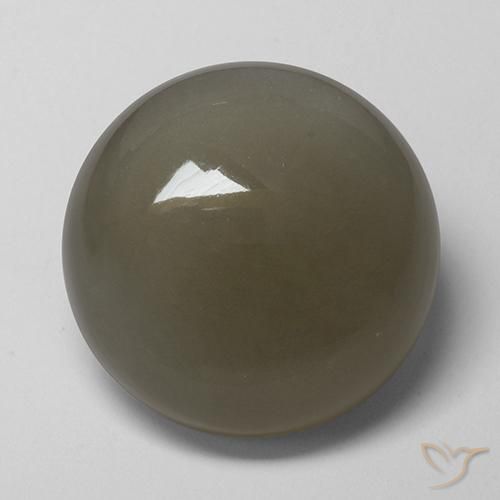 Piedra de Luna Marrón gris natural de 16.89 ct, Redondo, Translúcido
