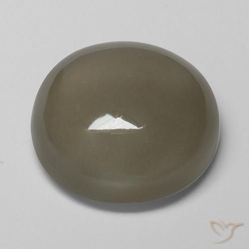 Piedra de Luna Marrón gris natural de 16.89 ct, Redondo, Translúcido