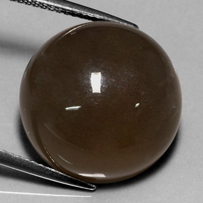 Piedra de luna marrón natural de 18,40 ct, corte redondo, translúcido