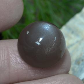 Piedra de luna marrón natural de 12,26 ct, corte redondo, translúcido
