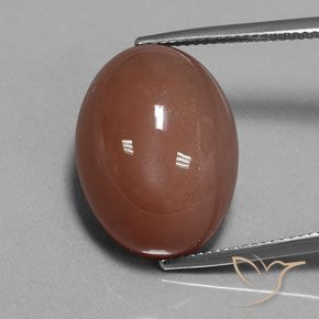 23.67ct Natural Marrón medio Piedra de Luna, Ovalada, Opaco