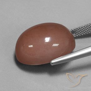 Piedra de Luna Marrón medio natural de 23.67 ct, Ovalada, Opaco