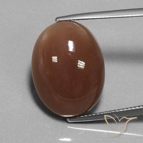 16.52ct Natural Marrón medio Piedra de Luna, Ovalada, Translúcido