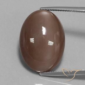 23.78ct Natural Marrón medio Piedra de Luna, Ovalada, Opaco