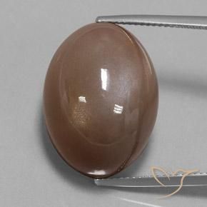 36.79ct Natural Marrón expreso Piedra de Luna, Ovalada, Opaco, Photo A