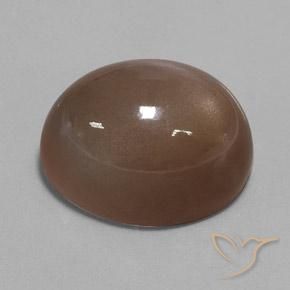 Piedra de Luna Marrón expreso natural de 36.79 ct, Ovalada, Opaco