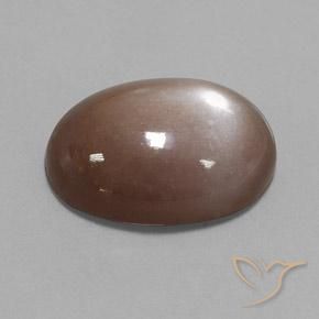 Piedra de Luna Marrón medio natural de 22.65 ct, Ovalada, Opaco