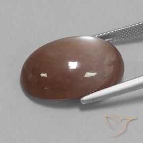 Piedra de Luna Marrón medio natural de 22.65 ct, Ovalada, Opaco