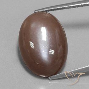22.15ct Natural Marrón expreso Piedra de Luna, Ovalada, Opaco