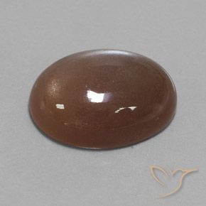 Piedra de Luna Marrón expreso natural de 22.15 ct, Ovalada, Opaco
