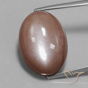 28.75ct Natural Marrón Piedra de Luna, Ovalada, Opaco