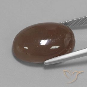 Piedra de Luna Marrón medio natural de 22.96 ct, Ovalada, Opaco