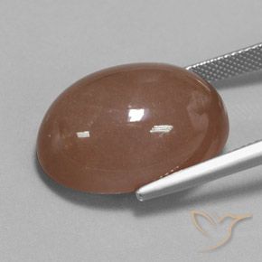 Piedra de Luna Marrón medio natural de 27.61 ct, Ovalada, Opaco
