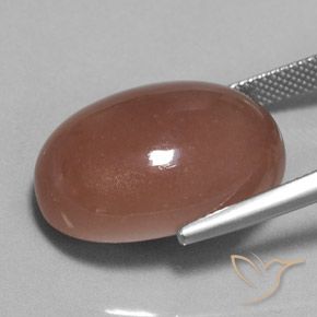 Piedra de Luna Marrón cálido natural de 25.17 ct, Ovalada, Opaco