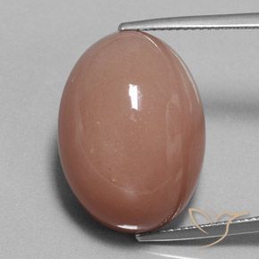 31.34ct Natural Marrón canela claro Piedra de Luna, Ovalada, Opaco