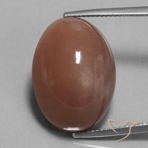 25.38ct Natural Marrón Piedra de Luna, Ovalada, Opaco