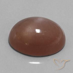 Piedra de Luna Marrón natural de 25.38 ct, Ovalada, Opaco